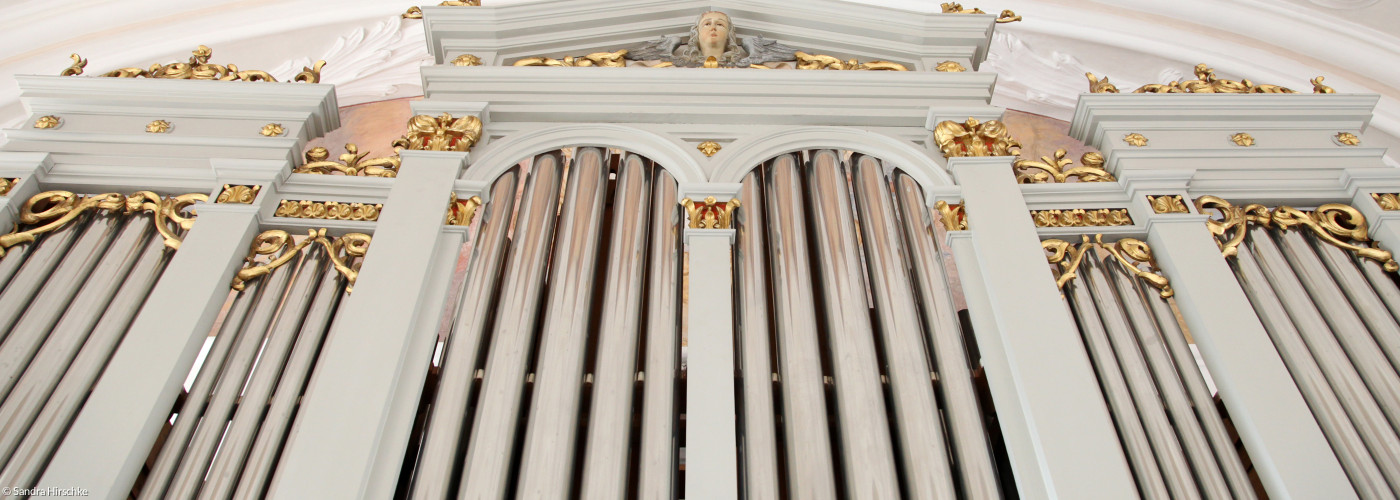 Orgelprospekt in Neustadt am Kulm