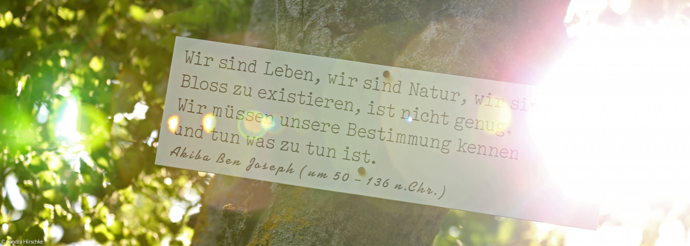 Spruch des Rabbiners Akiba Ben Joseph an einem Baum