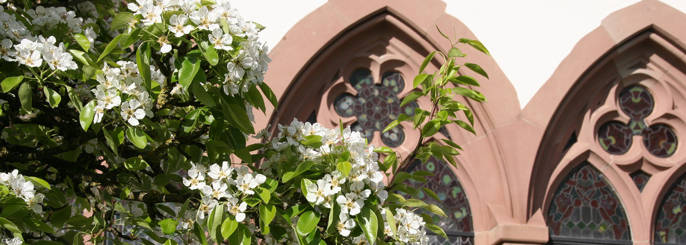 Frühling in Wirbenz