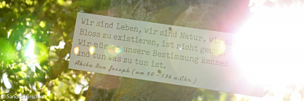 Spruch des Rabbiners Akiba Ben Joseph an einem Baum