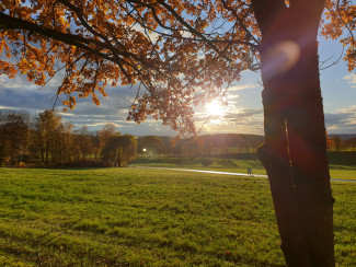 Blick in eine abendliche Landschaft